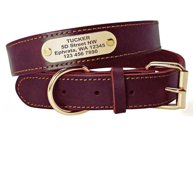 Colliers personnalisés pour chiens de taille moyenne et grande avec étiquettes d'identification / Personalized Dog Collars with Nameplate ID Tags for Medium Large Dogs