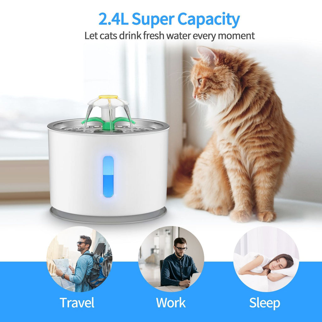 Distributeur d'eau en acier inoxydable pour chats et chiens / Stainless Steel Pet Water Dispenser For Cats And Dogs