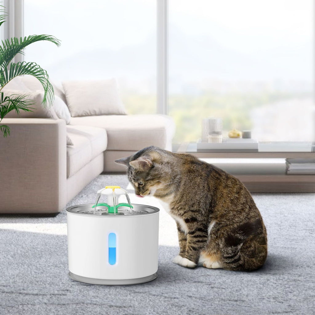 Distributeur d'eau en acier inoxydable pour chats et chiens / Stainless Steel Pet Water Dispenser For Cats And Dogs